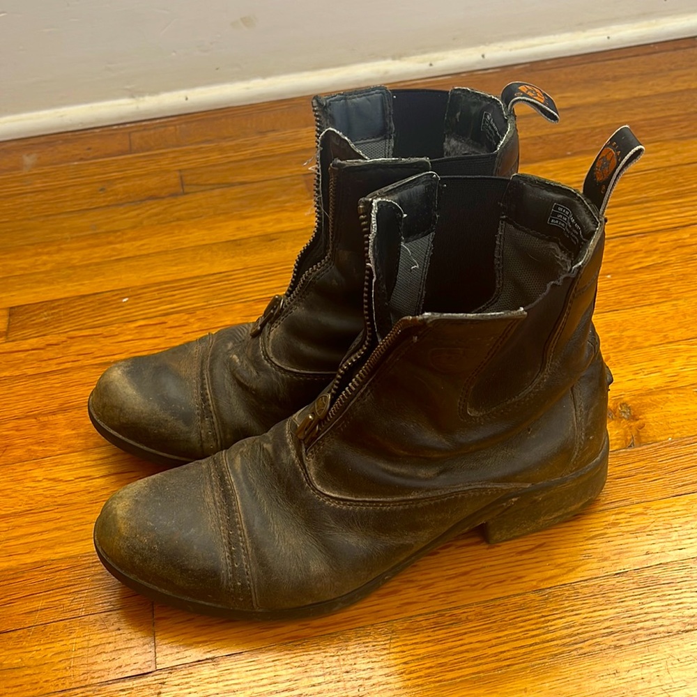 Ariat Paddock Boots